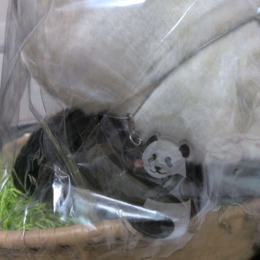 上野案内所 令和 シャンシャン ぬいぐるみ