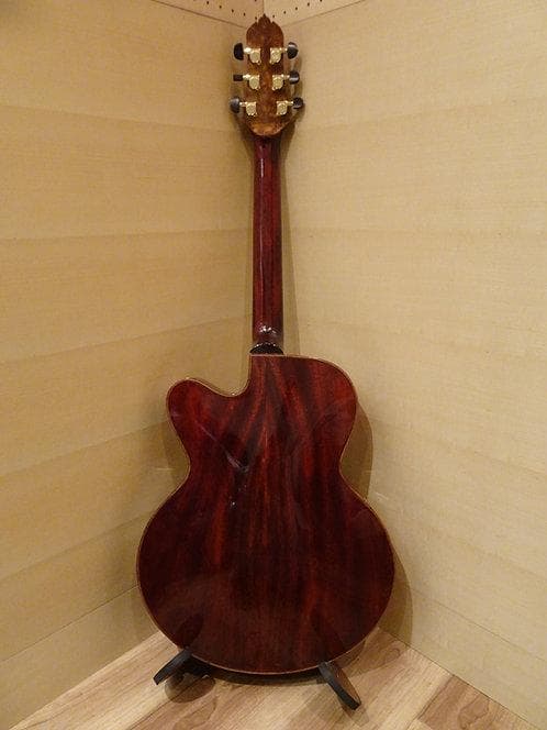 Oracle of Guitars モデル Semi Line