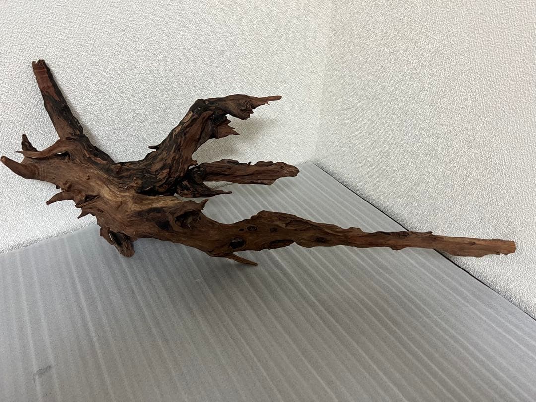 HX-080 流木　ホーンウッド　マシンガンウッド　アクアリウム　ブランチウッド