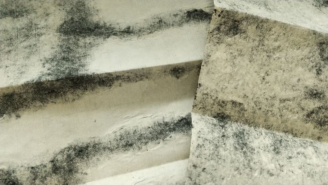 拓本 泰山金剛経 無量壽 書道 書家 金石 中国 未表装 三点