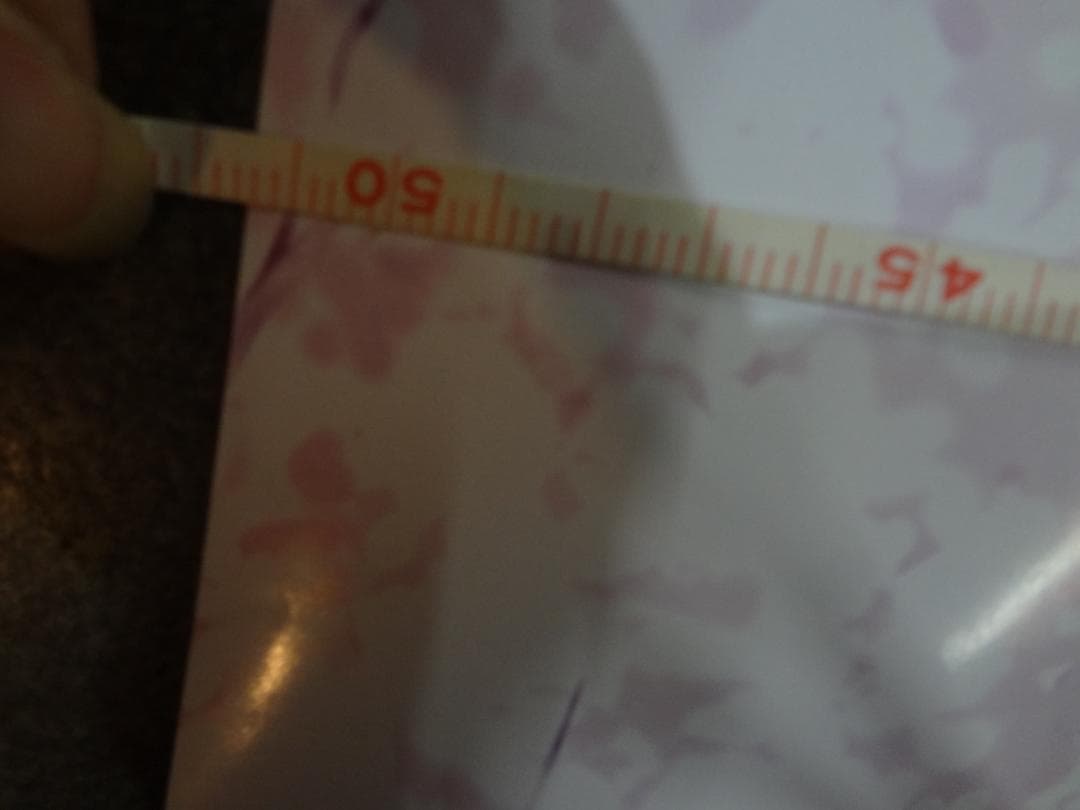 type-moon all rights reserved　ロング非売品ポスター