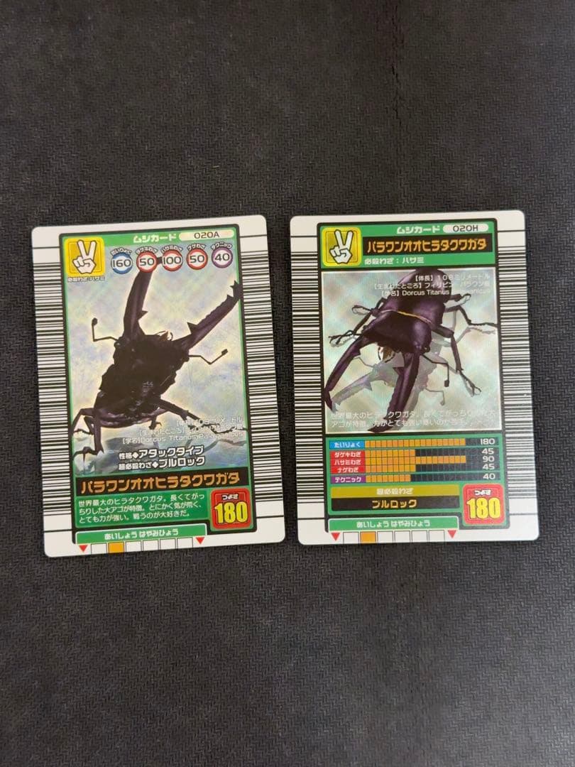 ムシキングカード　セット