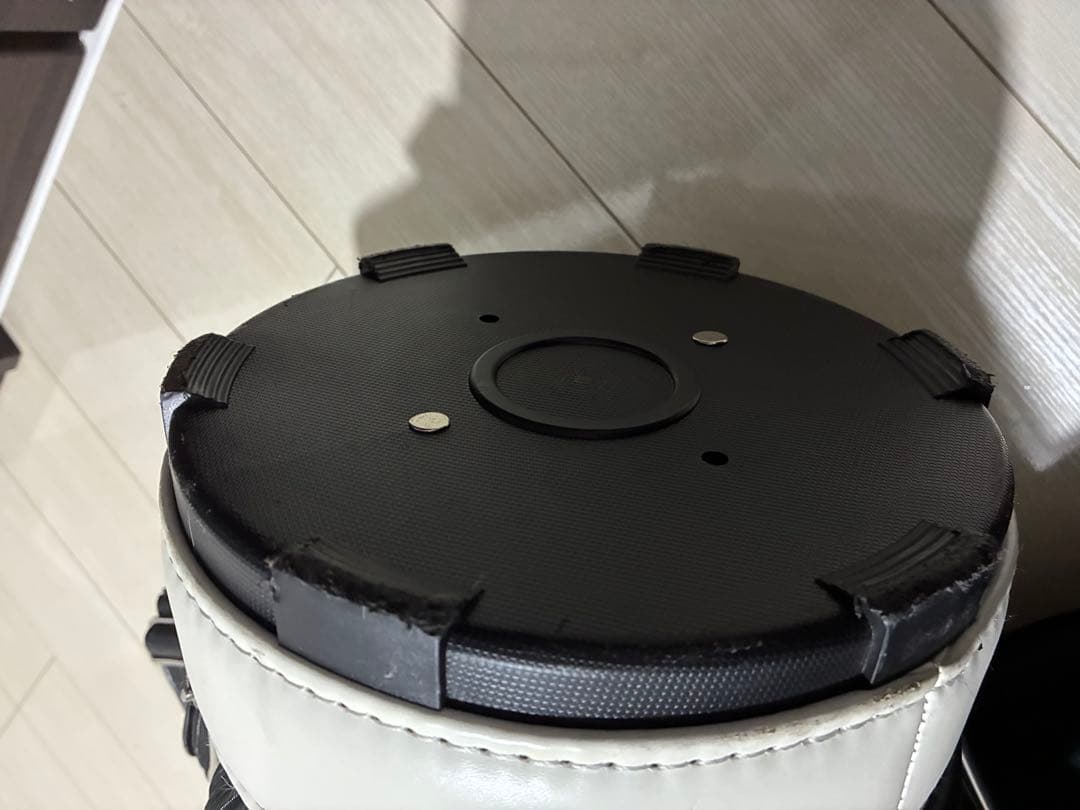 Disney 100周年記念 スタンド型ゴルフバッグ