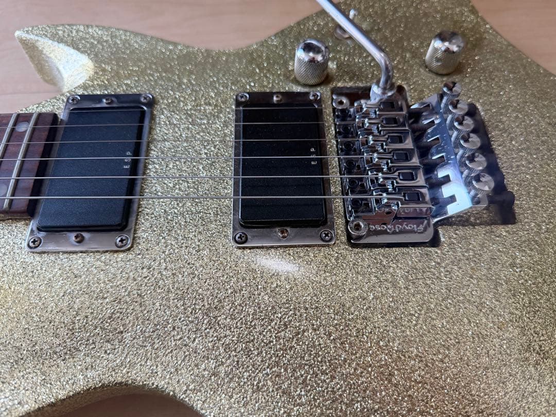 EDWARDS E-LK-100DK／Laputa kouichi ／ダムカラス