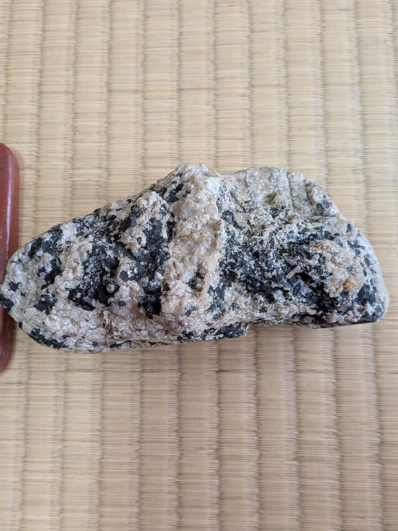 南極の石 コレクション用