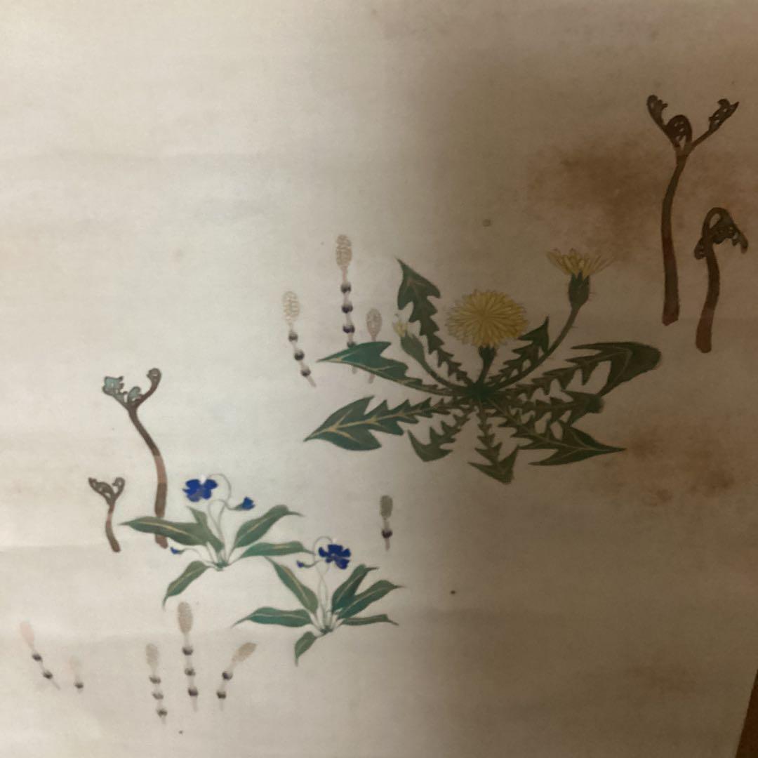 山元春挙　　花鳥図捲り　絹本彩色画　肉筆　落款印譜照合　箱付き　模写　115