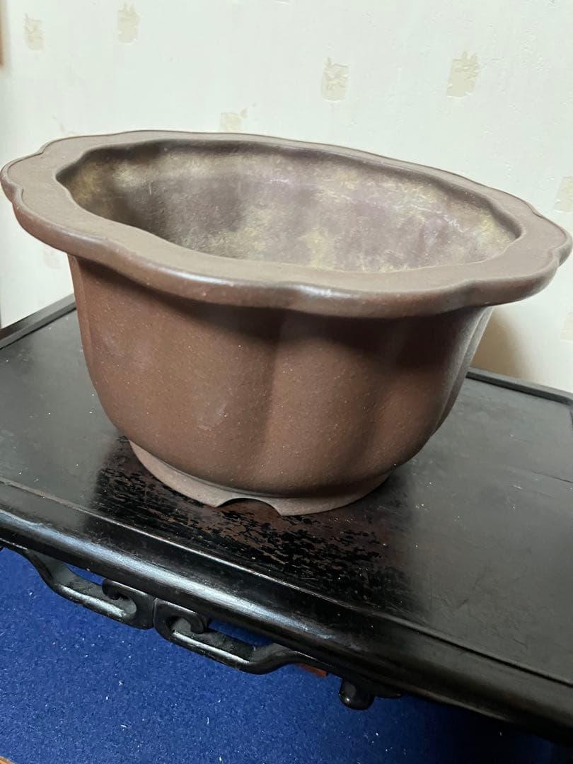 481 盆栽　盆栽鉢　植木鉢　和鉢　山秋
