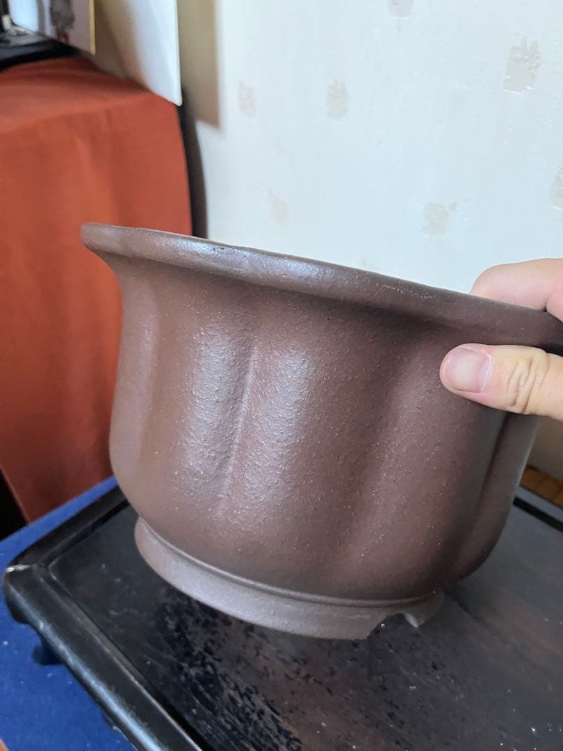 481 盆栽　盆栽鉢　植木鉢　和鉢　山秋