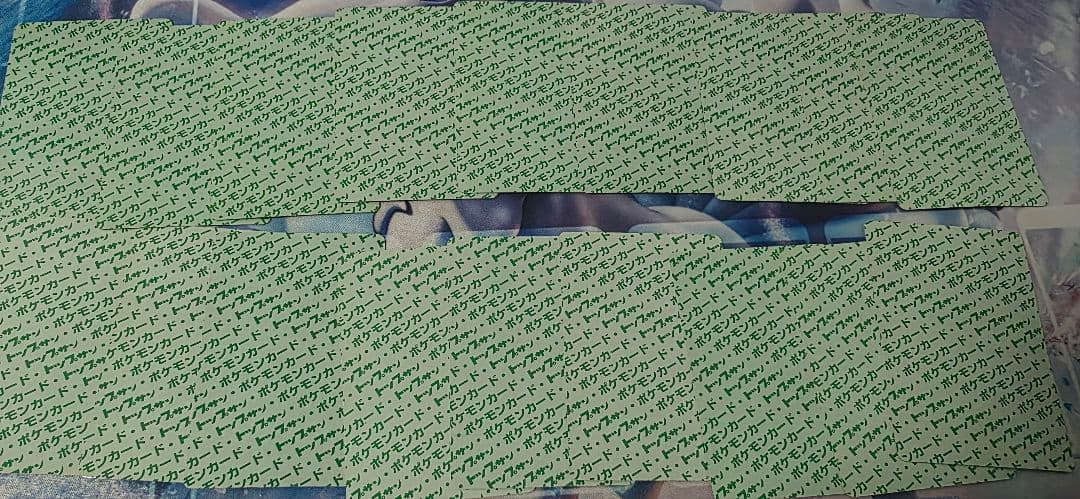 トップサン　ナンバー無し　リザードン　裏青