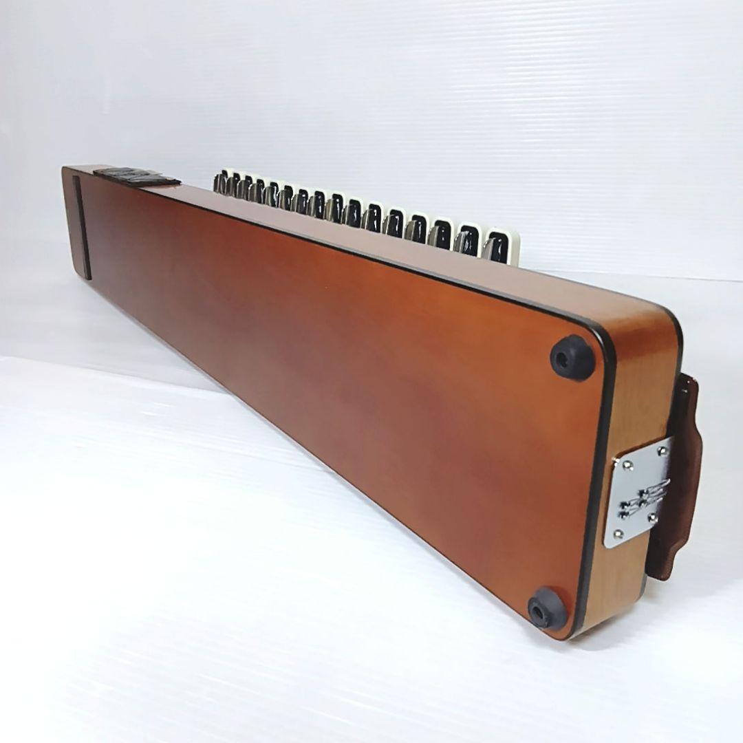 【極美品】大正琴 ライリッシュ Lyrissh ソフトケース スバル ソプラノ