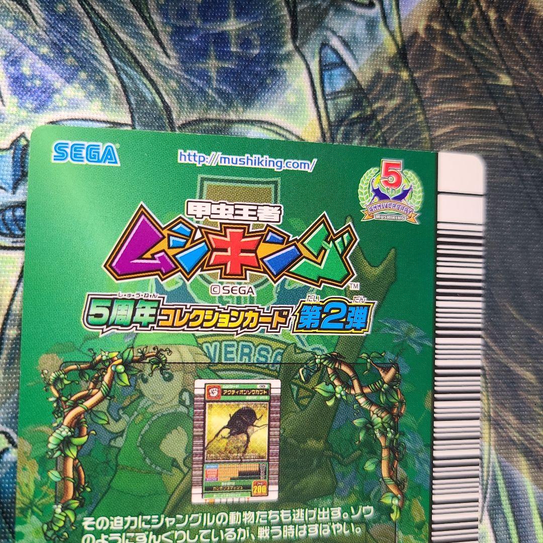 5周年 アクティオンゾウカブト