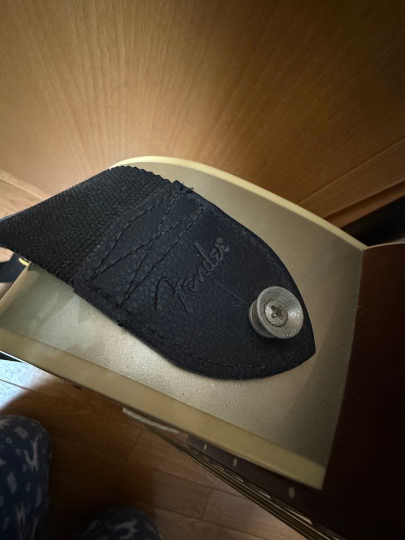 エレアコ アコギFender Newporter Player シャンパンカラー