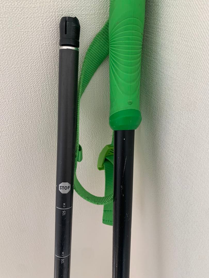 ブラックダイアモンド　カーボンポール 100-125cm伸縮可能