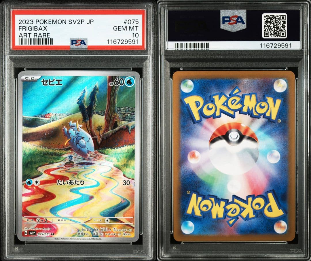 連番 セビエ セゴール セグレイブar psa10 最新ケース