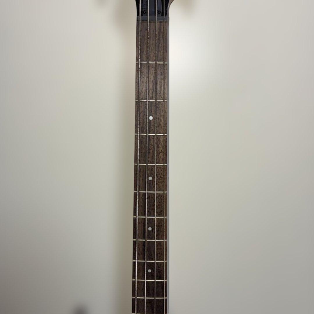 Ibanez SR300 SDGR エレキベース