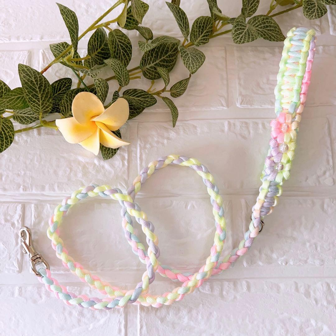 パラコードリード　ハーフチョーク　パステルレインボー　No.0176