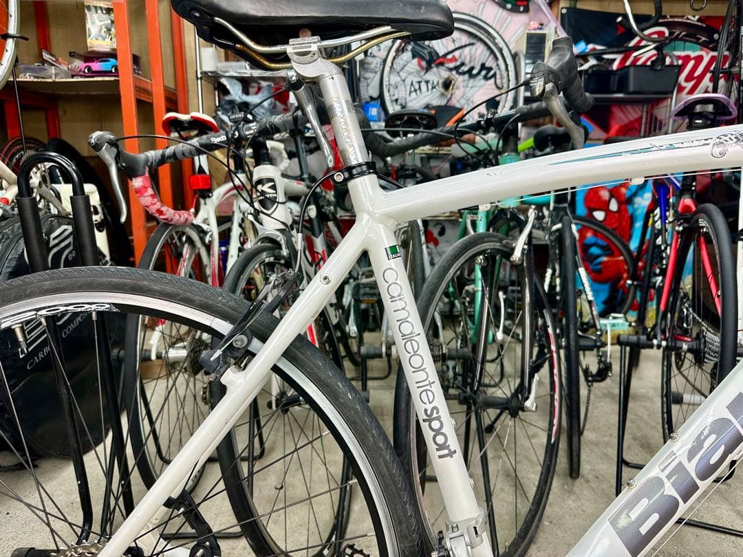 CAMALEONTE SPORT基本分解発送送料無料！完成車配送ご相談ください！