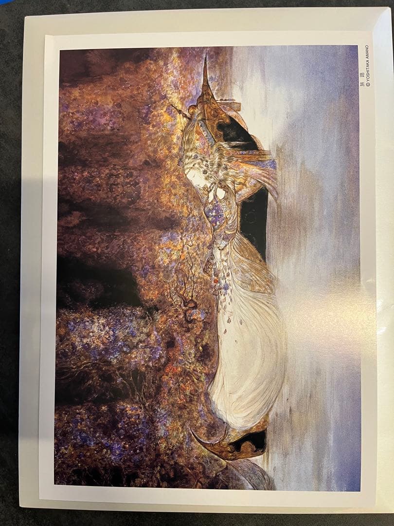 入手困難 吸血鬼ハンターD、その他 イラスト4枚セット集 画・天野喜孝