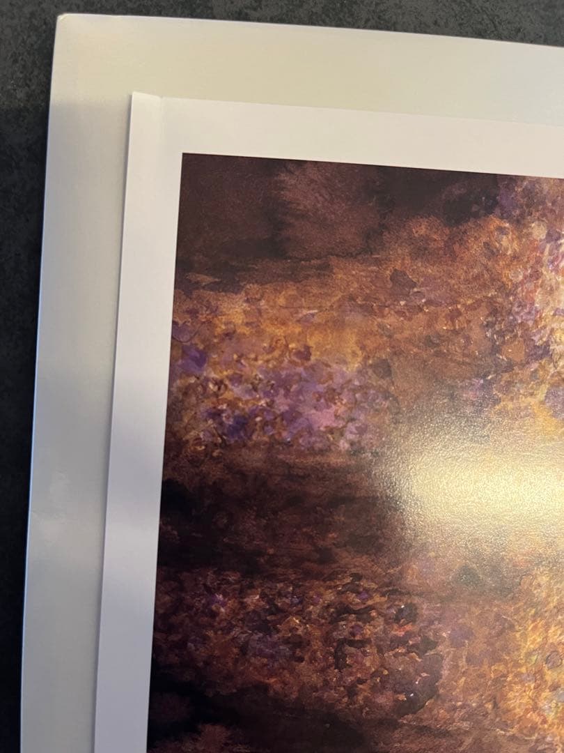 入手困難 吸血鬼ハンターD、その他 イラスト4枚セット集 画・天野喜孝