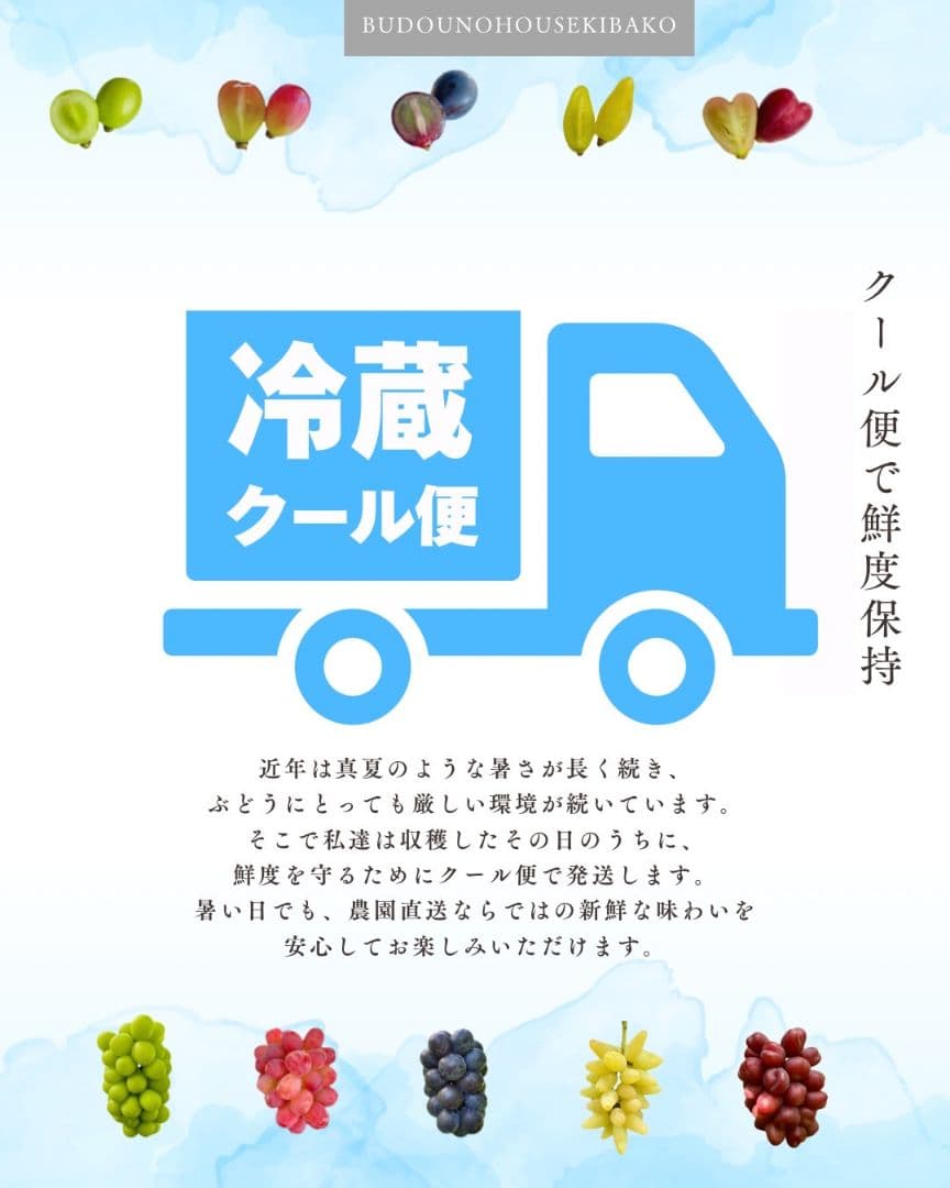 ⑤ grape Jewelry box　粒2kg