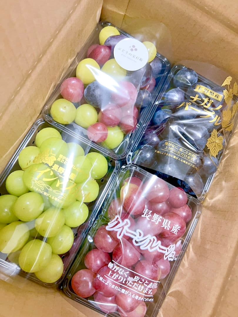 ⑤ grape Jewelry box　粒2kg