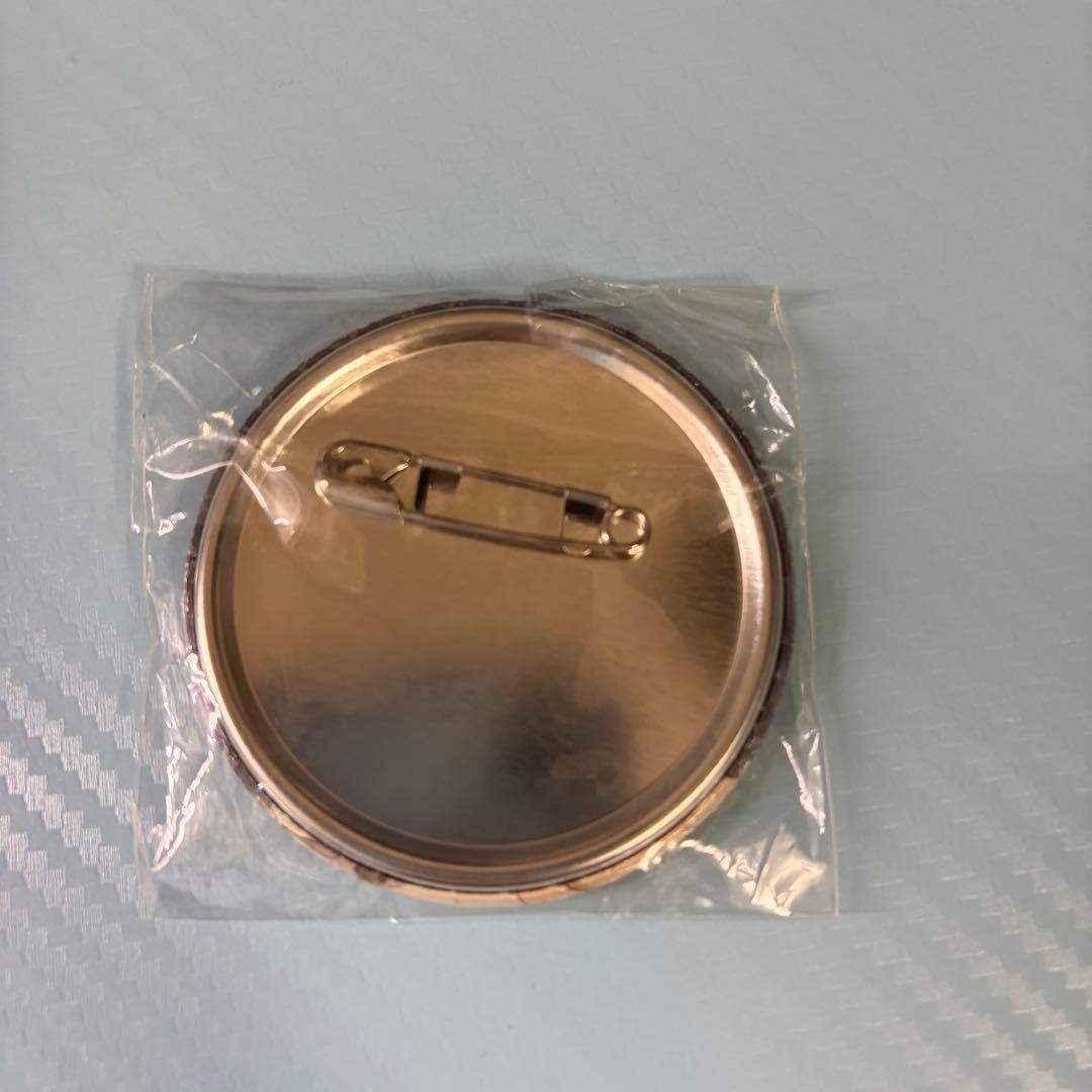 ハンジ 缶バッジ 進撃の巨人 final アニメイト特典