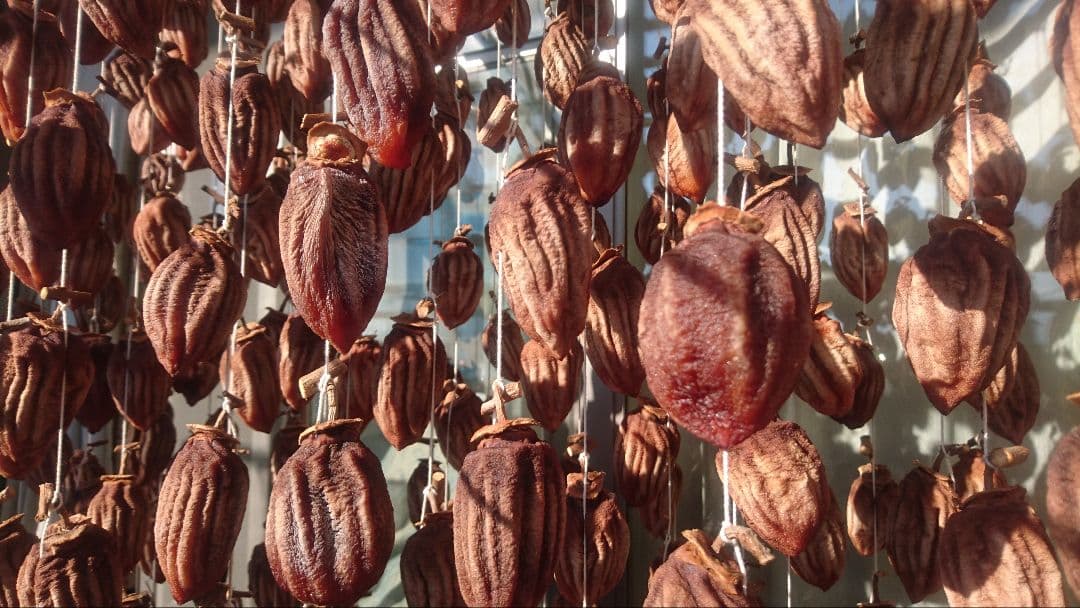 ゆりえ 長野県産 蜂屋柿 干し柿 ３kg