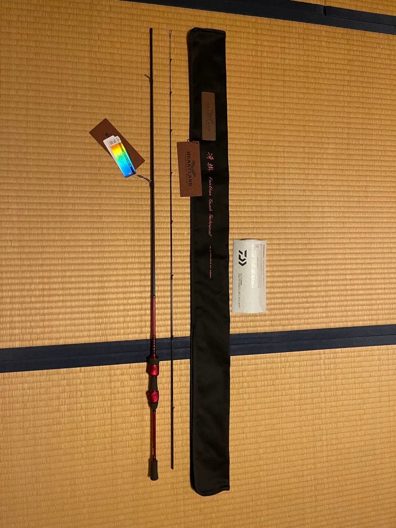 Daiwa ハートランド　冴掛　フェザータッチテクニカル　AGS24