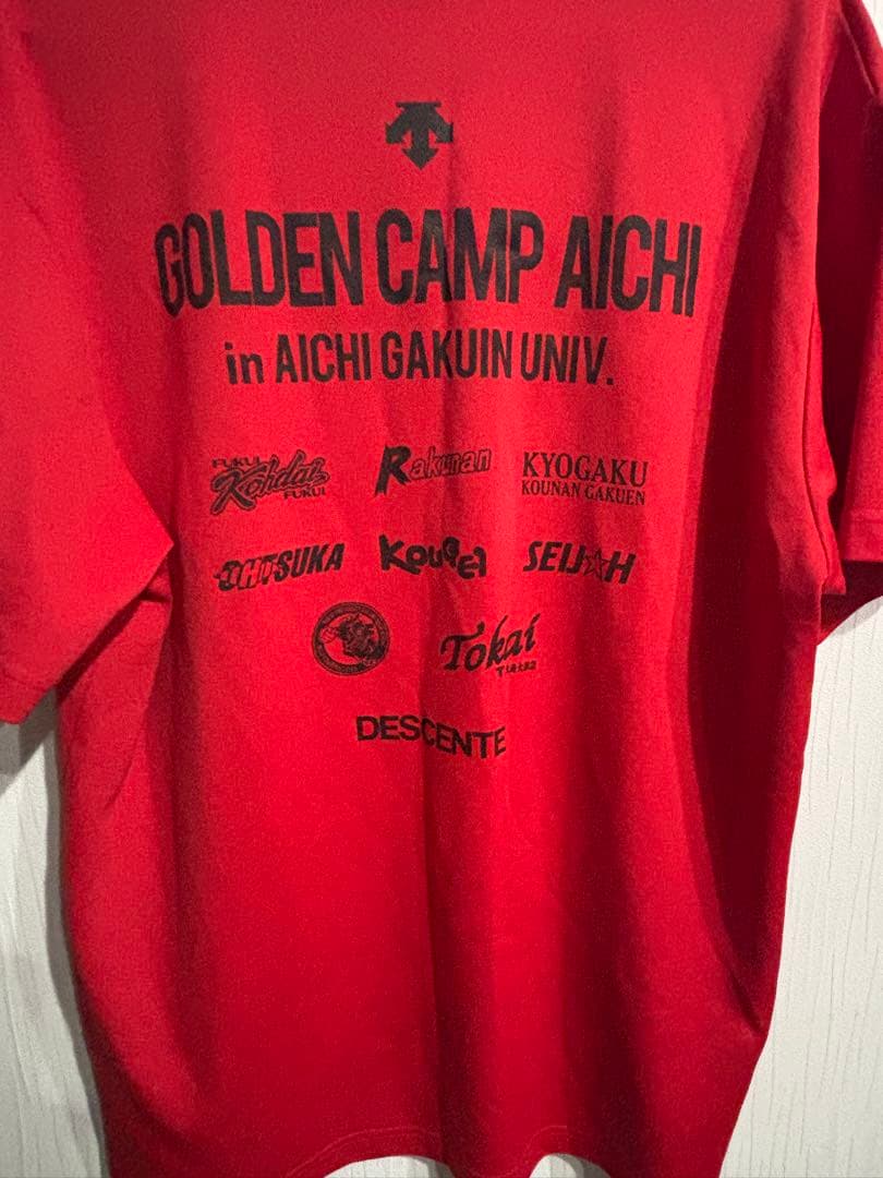 DESCENTE GOLDEN CAMP AICHI 2017 シャツ