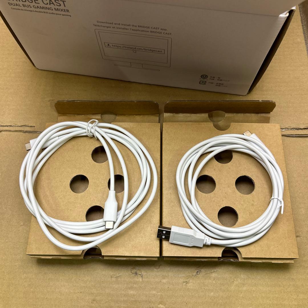 ジャンク　ローランド Roland BRIDGE CAST