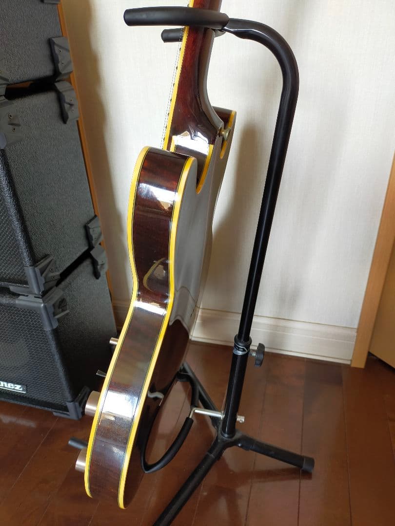 激レアDaion hh-555 Headhunter 555 ダイオン　セミアコ