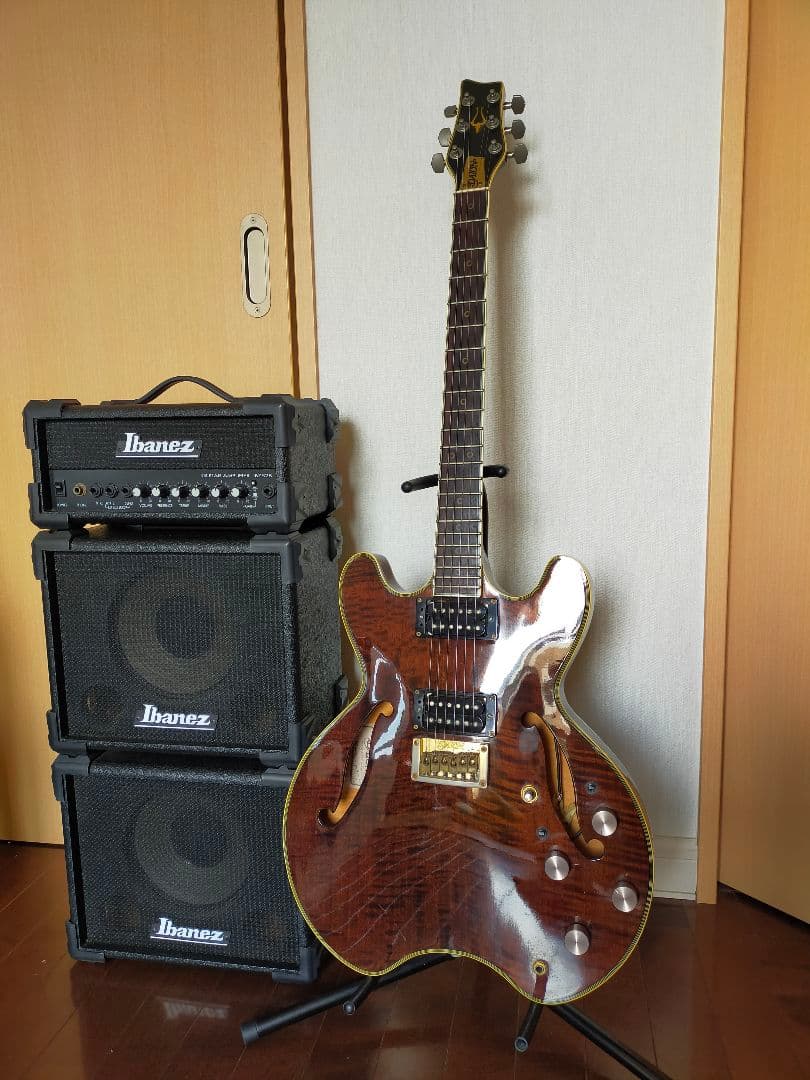 激レアDaion hh-555 Headhunter 555 ダイオン　セミアコ