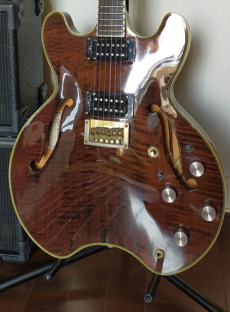 激レアDaion hh-555 Headhunter 555 ダイオン　セミアコ