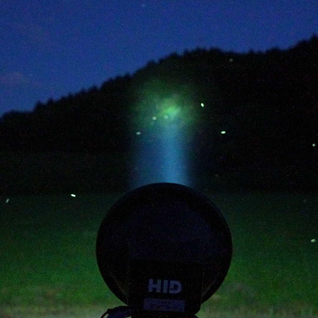 新品HIDライトトラップ　強力約55～100W　紫外線強化バルブ　灯火採集