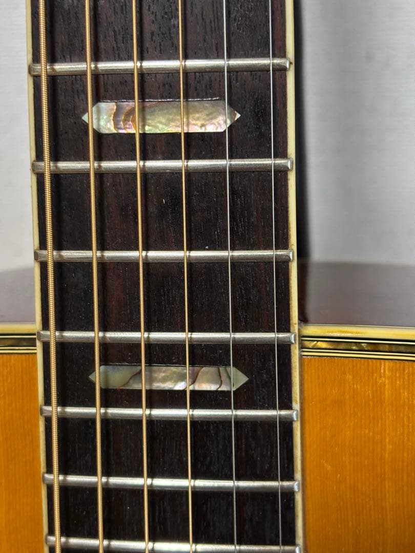 後期型！Morris モーリス　TF W-50 バックハカランダ3p