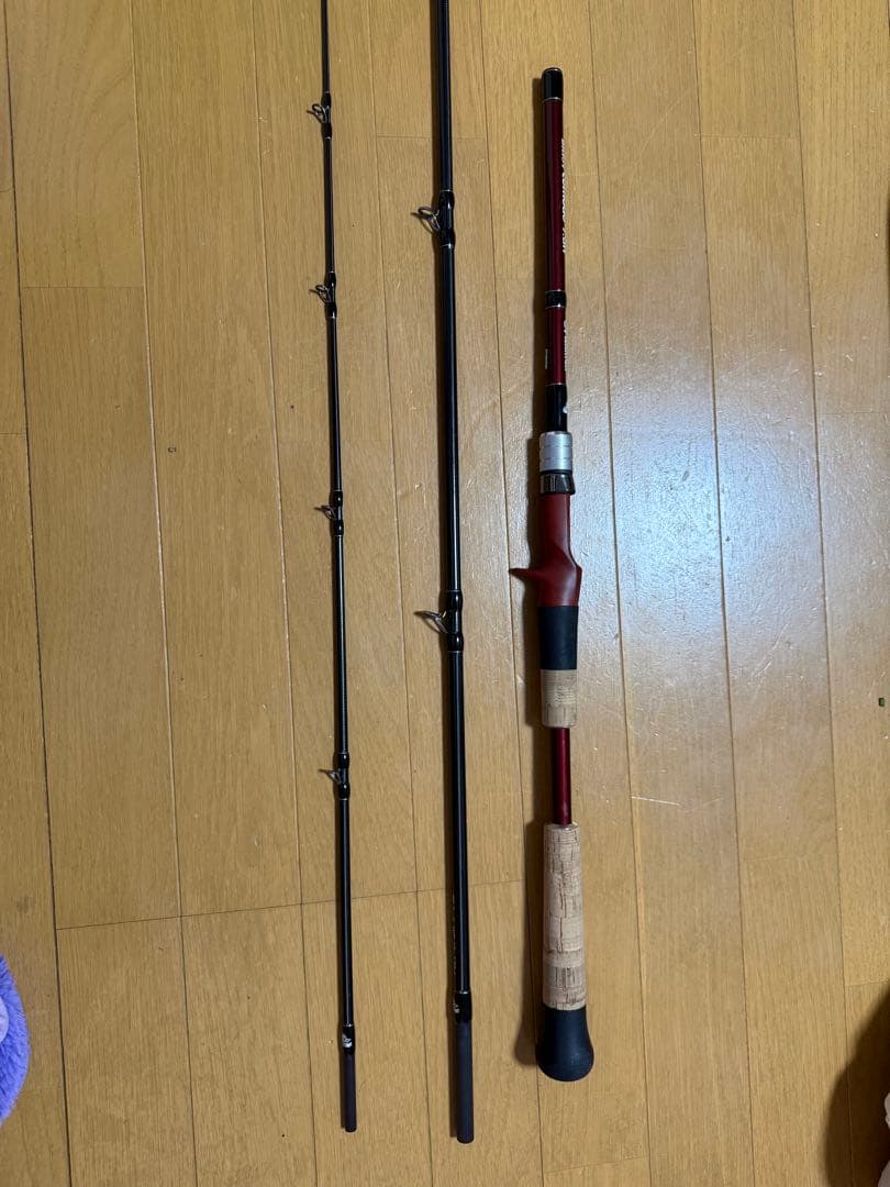 有識者会議  Fishman Brist Comodo 7.5H