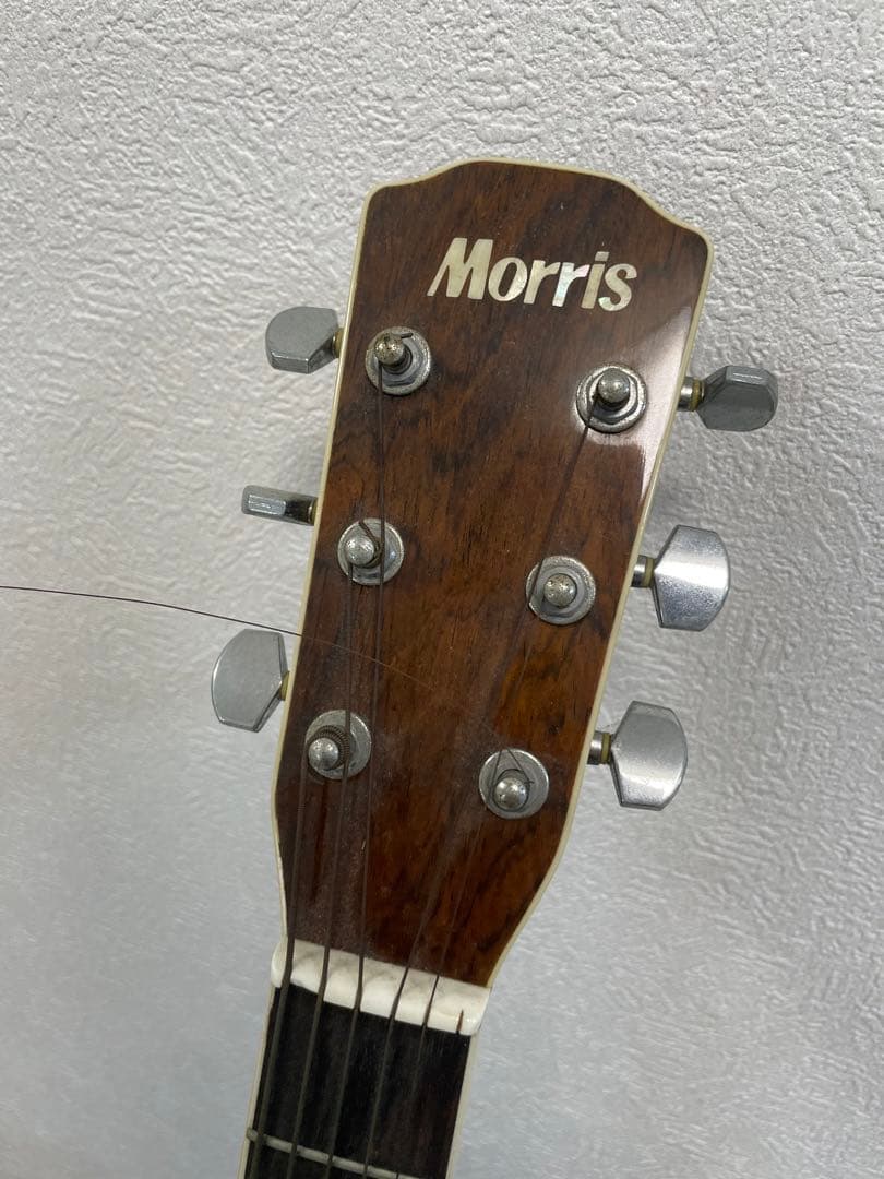Morris アコースティックギター