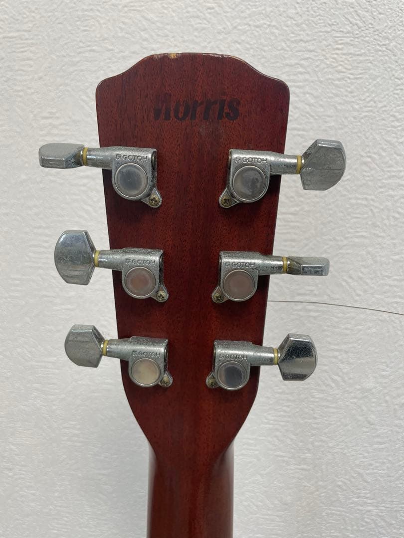 Morris アコースティックギター