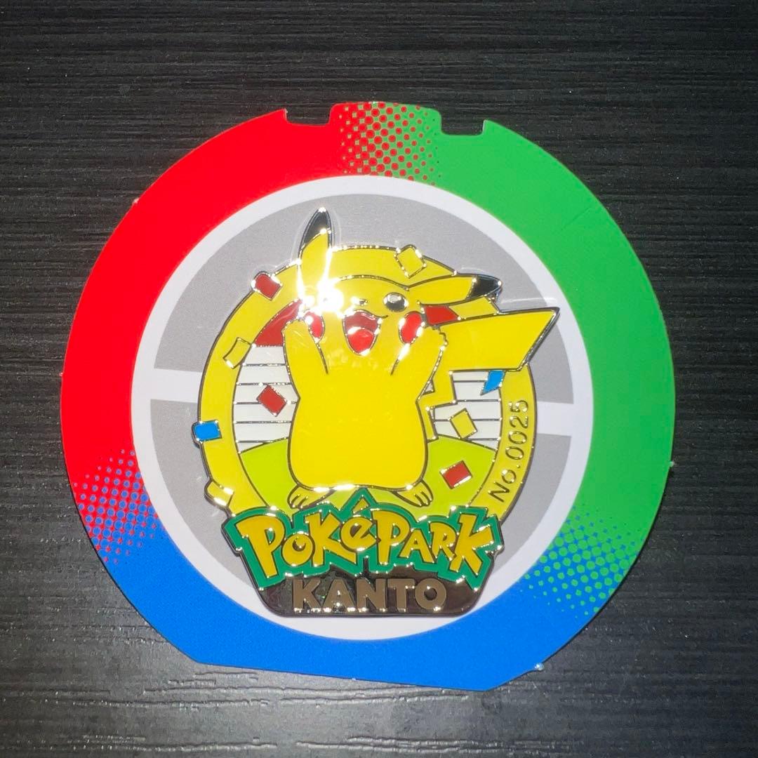 ポケパーク カントー ピカチュウ ピンズ