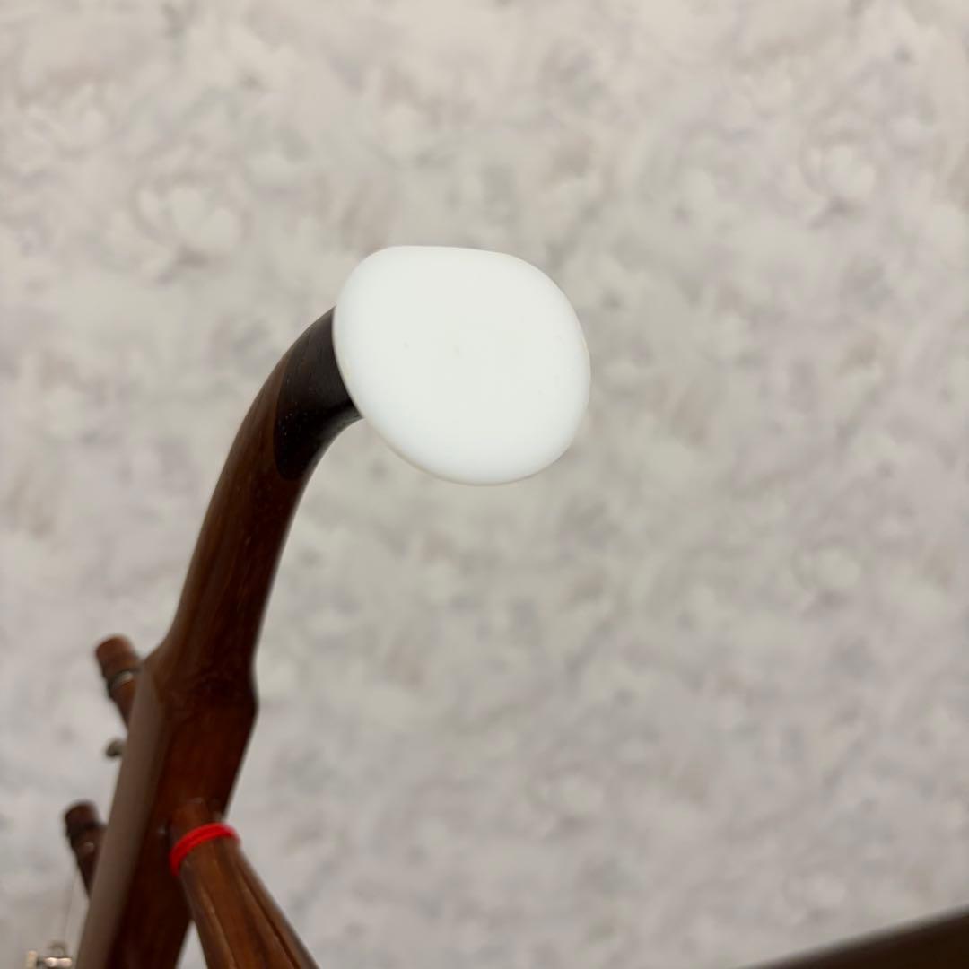 弦楽器 ニ胡 NK170 ケース付き