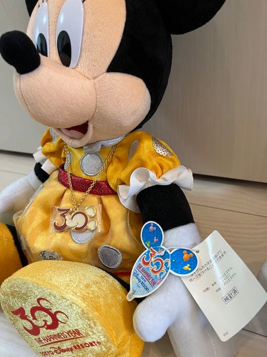 【ディズニー】ディズニーリゾート購入　自立　ミッキー　30周年　ミニーぬいぐるみ