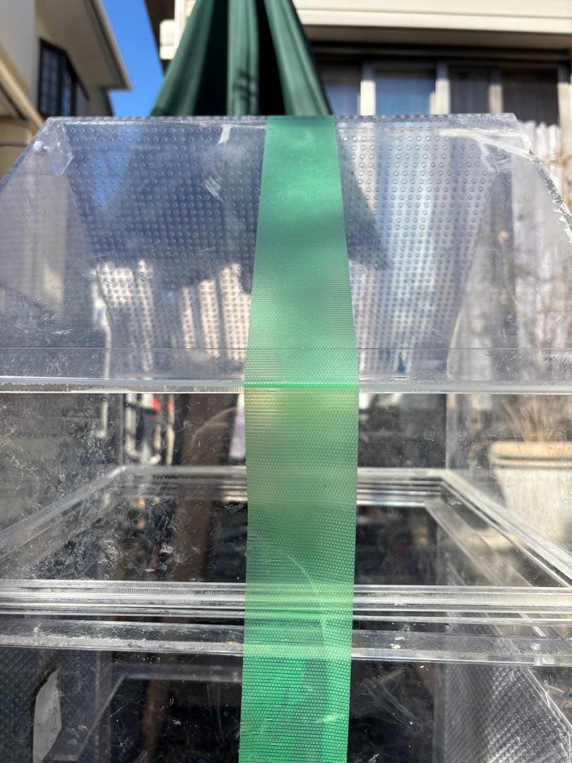 大型フクロモモンガケース