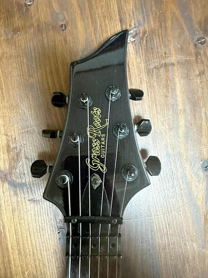 GrassRoots グラスルーツ　フォレストギター　ブラック系　木目