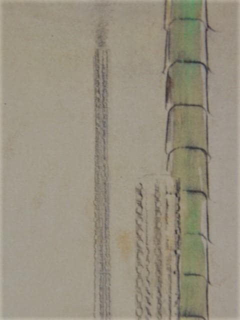 Max Ernst、マックス・エルンスト【SANS TITRE】