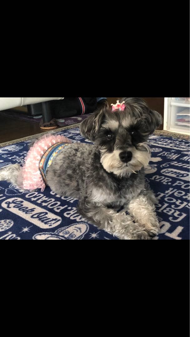 miniさま  確認用　その③