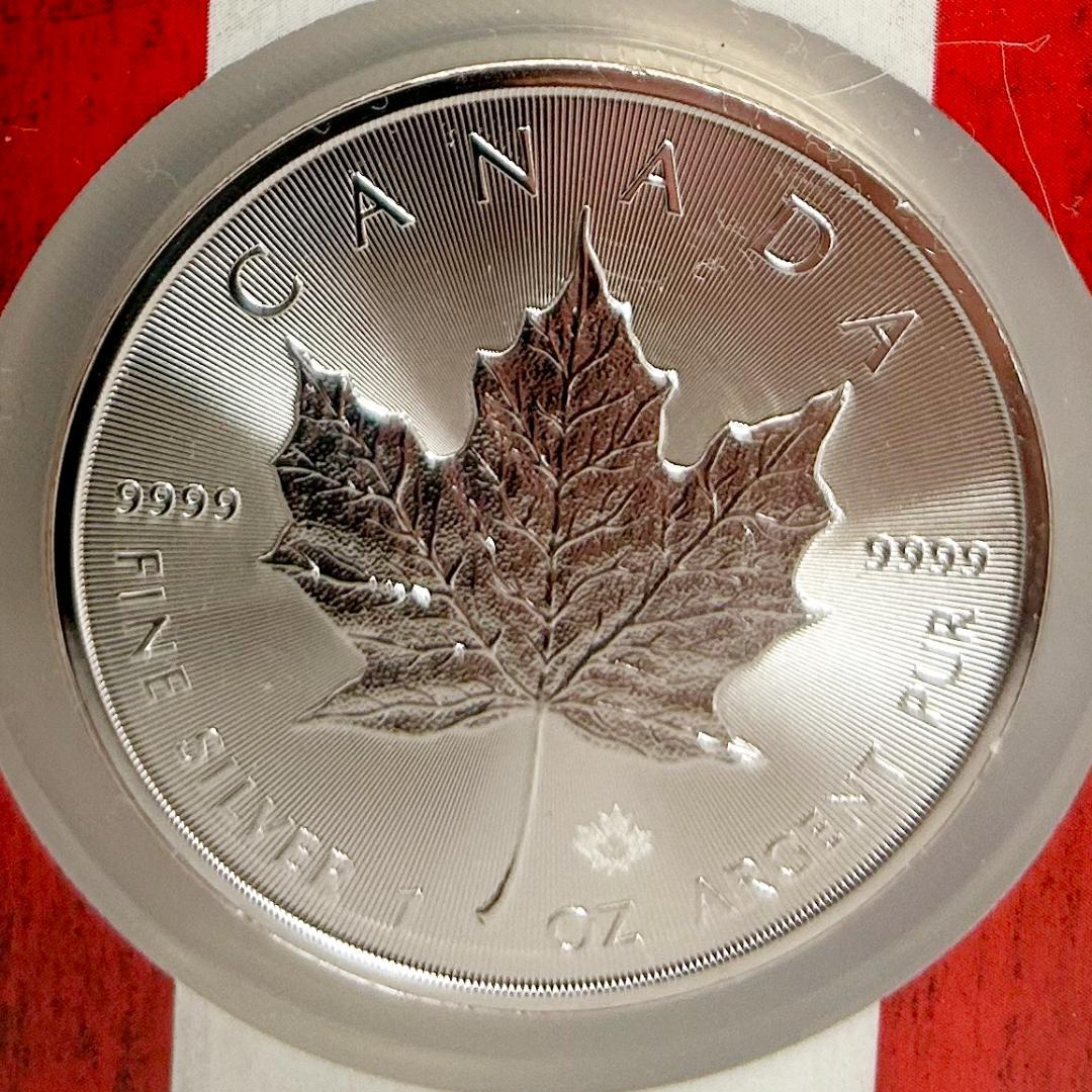 2021年 カナダ　メープルリーフNGC MS69 6549874-072