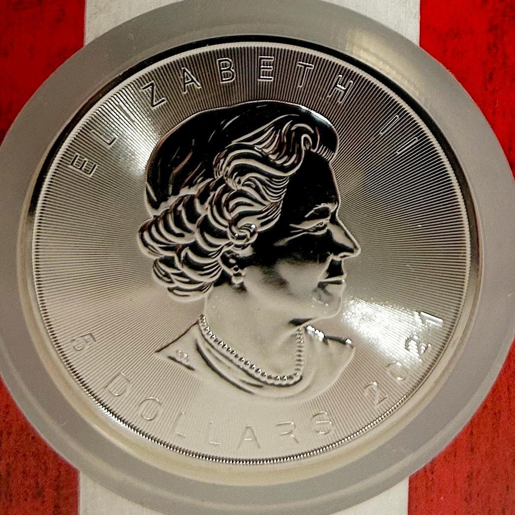 2021年 カナダ　メープルリーフNGC MS69 6549874-072