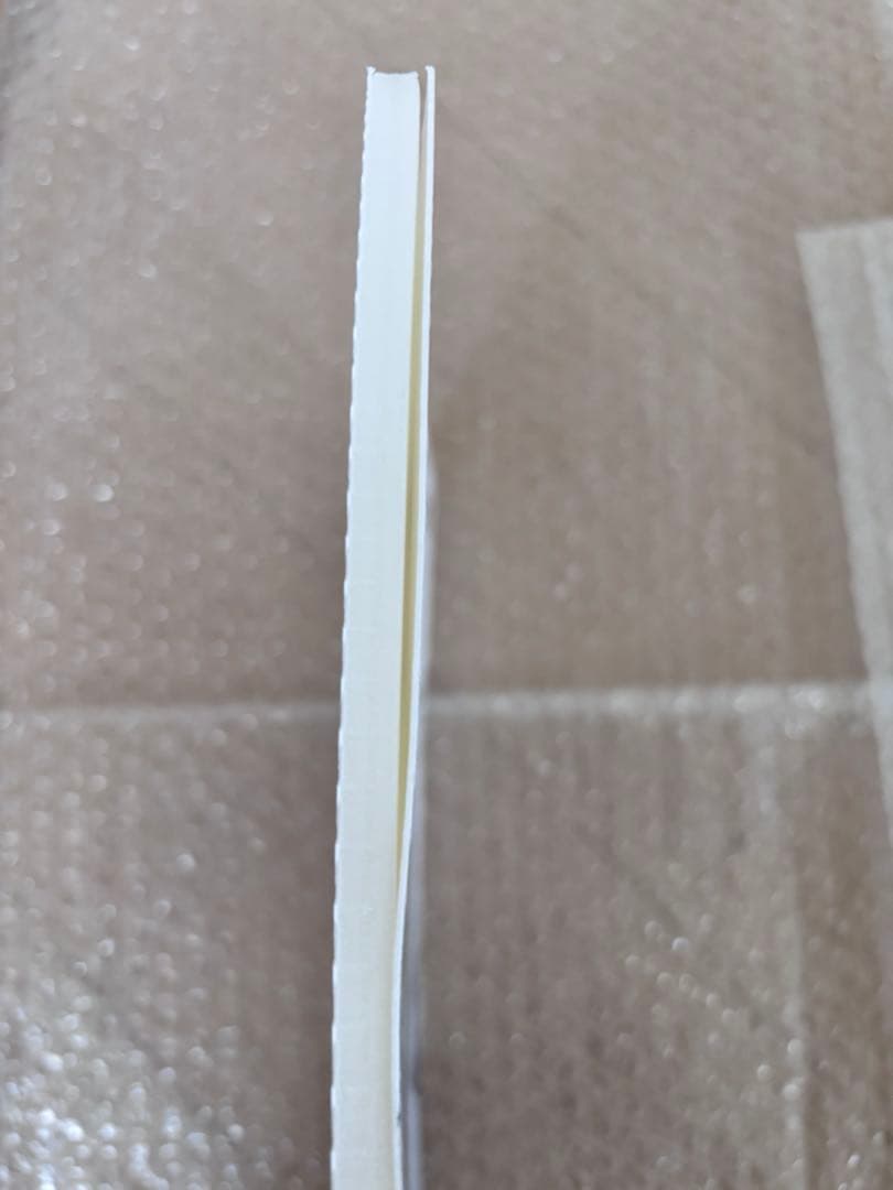 ビバレン　カズ　パネル