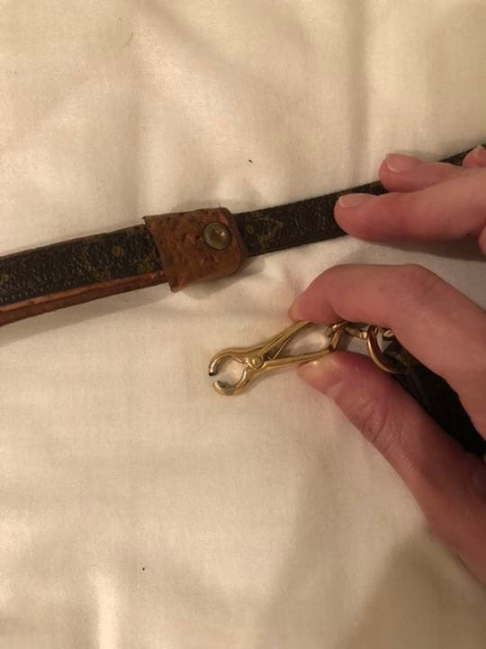 Louis Vuitton 小型犬　首輪とリードのセット