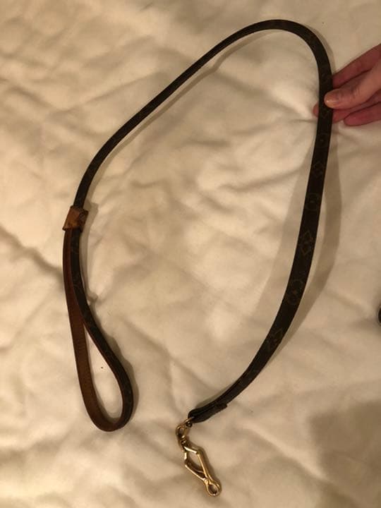 Louis Vuitton 小型犬　首輪とリードのセット